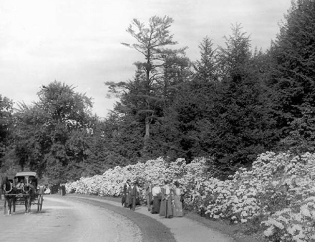 Women in early 20th century clothes standing by forested area.