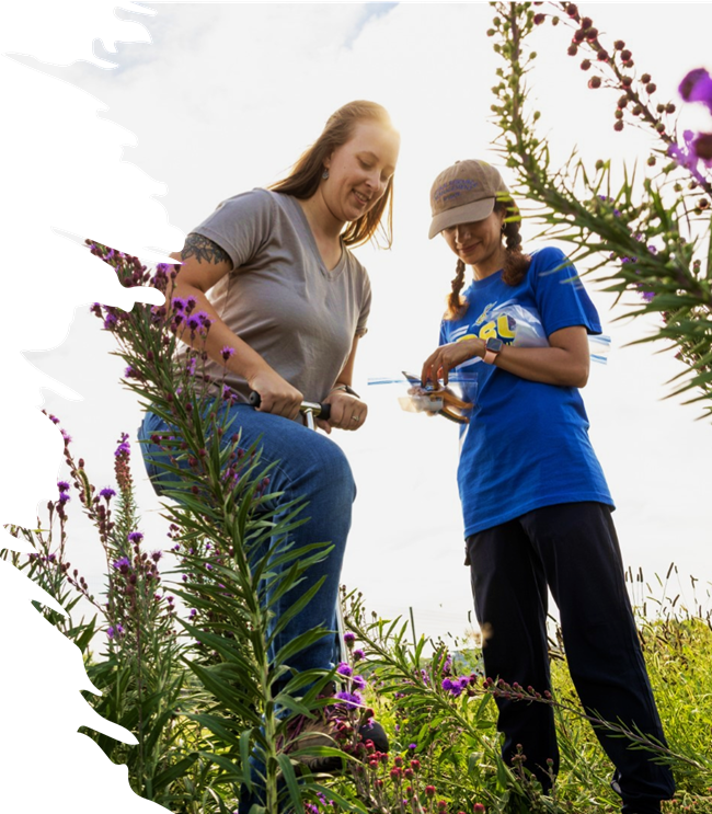 two smiling women plant seeds in a flowery meadow
