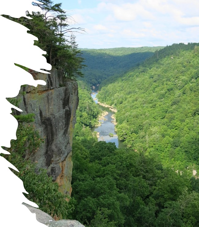 View from Angel Falls Overlook. Cliff to the left and river in the background