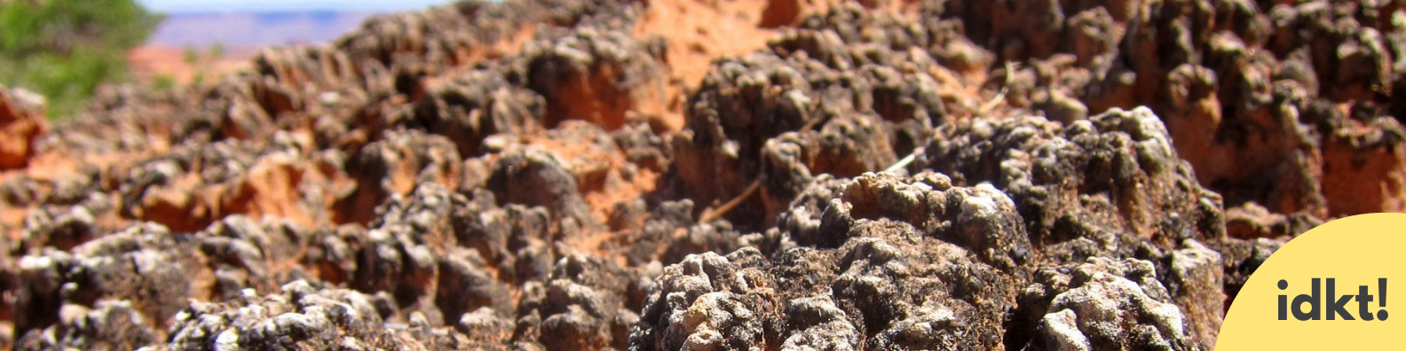 image of a biological soil crust with IDKT! in the right corner