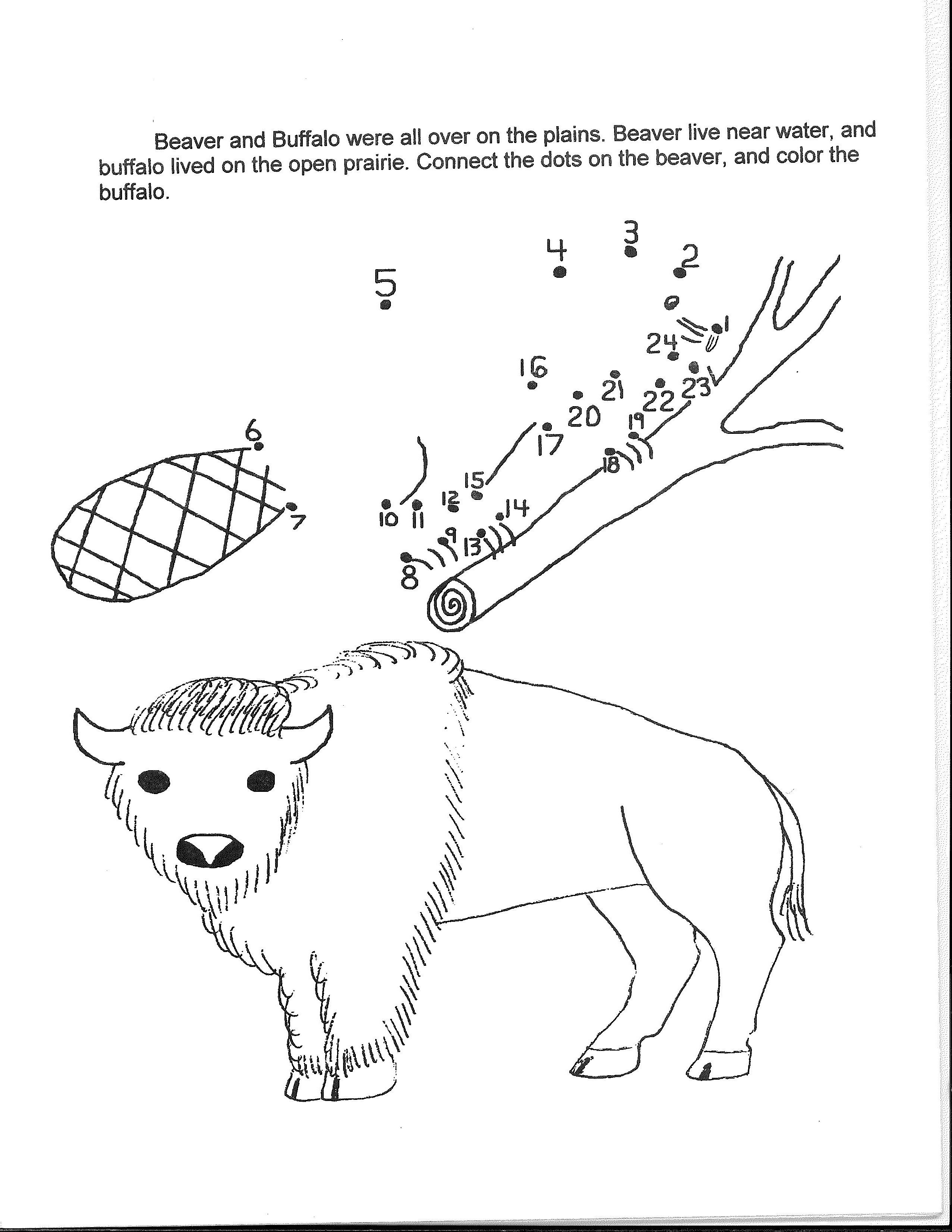 black and white bison drawing and beaver connect the dots