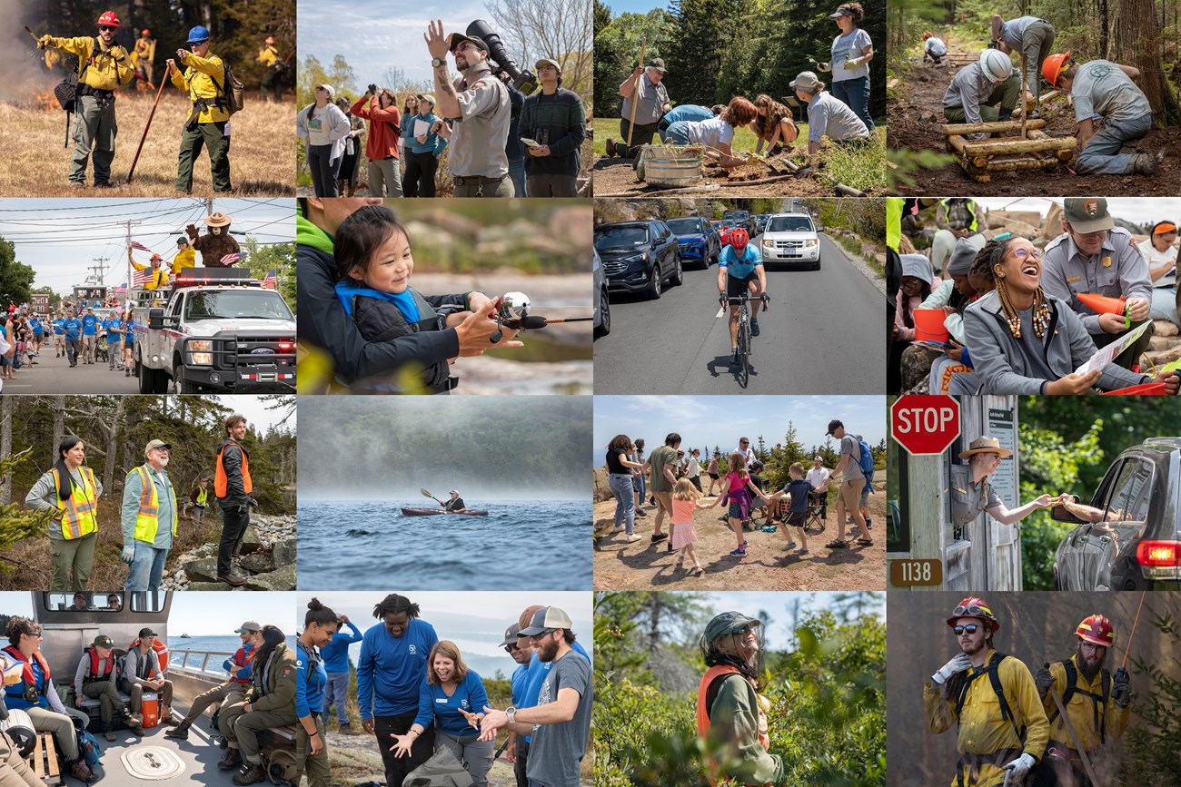 A collage of Brady's favorite images from the season.
