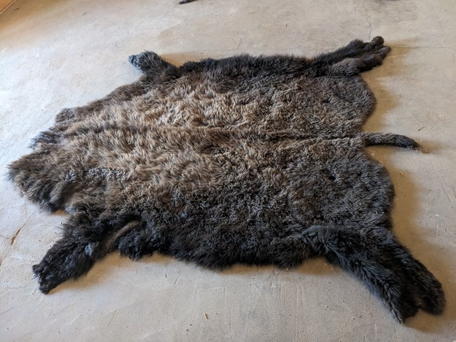 A buffalo robe is stretched out on the floor of a fort room