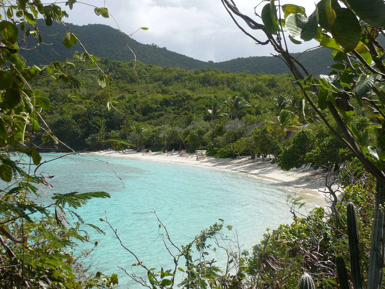 A birds-eye-view of a beach and waterfront, looking through trees.