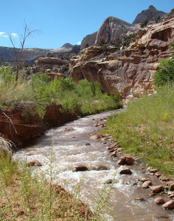 The Fremont River, with green plants on the sides and rock formations in the background