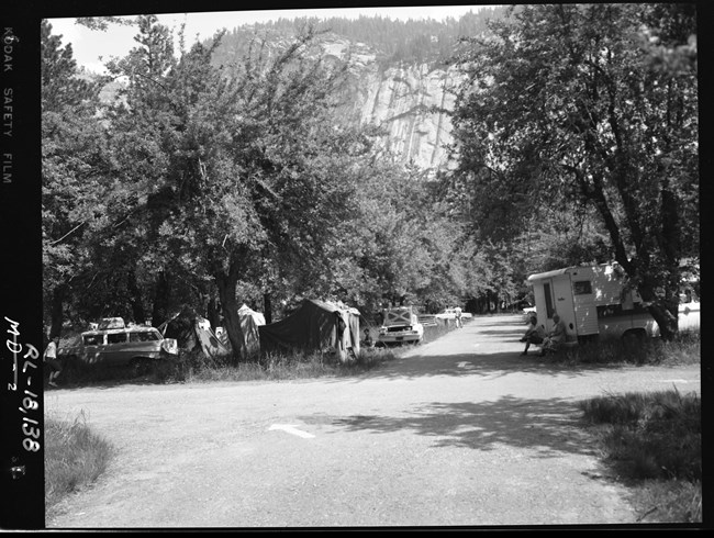 Cars and tents parked in an orchard.