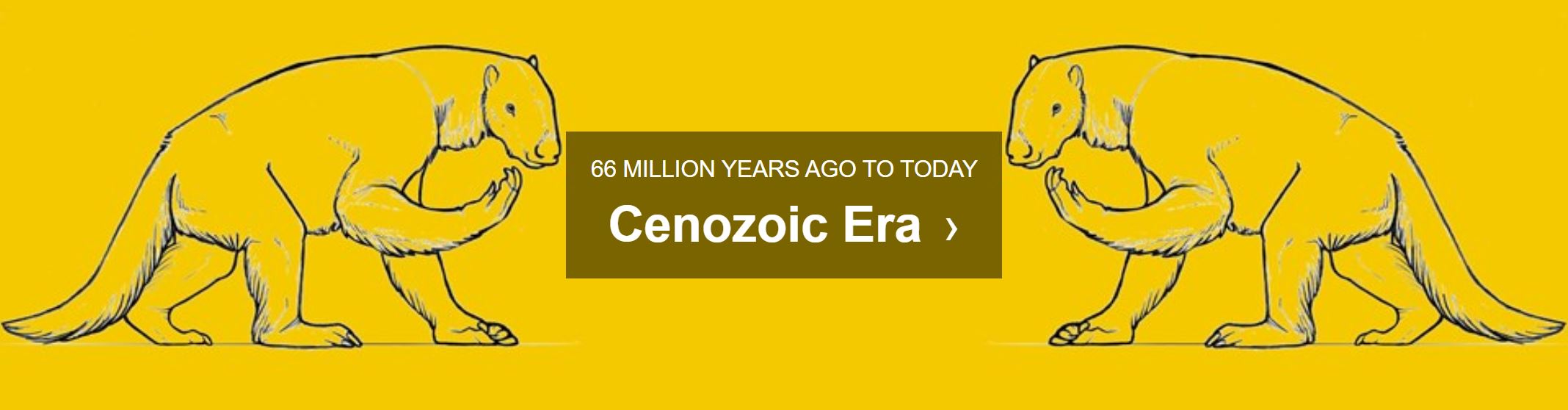 yellow background with test cenozoic era 66 MILLION TO 11,700 YEARS AGO