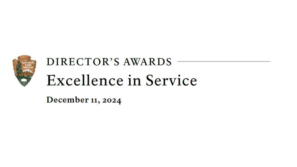 Image that says "Director's Awards Excellence in Service".