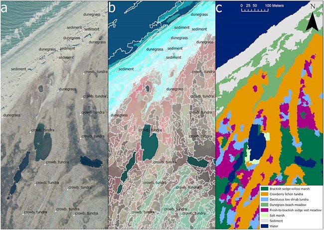 Three panels showing the process for mapping coastal vegetation data.