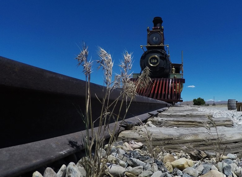 Close-up of a railroad track with invasive grass and historic steam locomotive in the background.