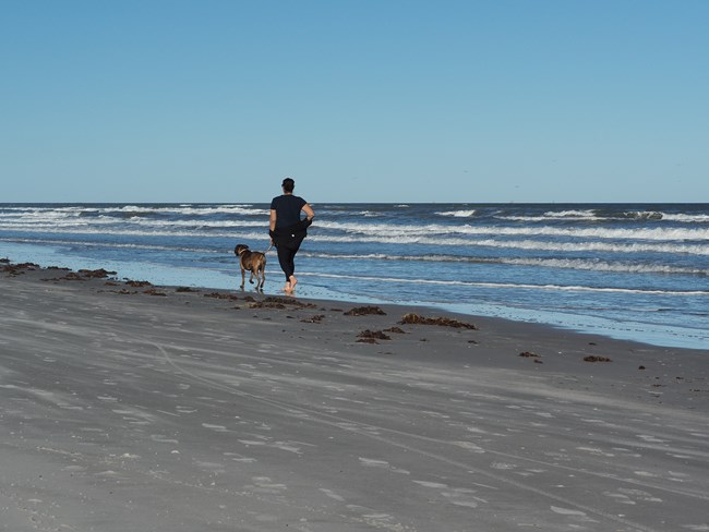 A person walking a dog on the beach