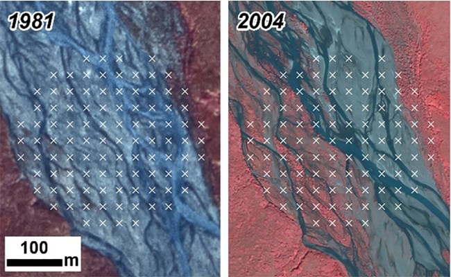 Paired imagery showing vegetation change along a river corridor/
