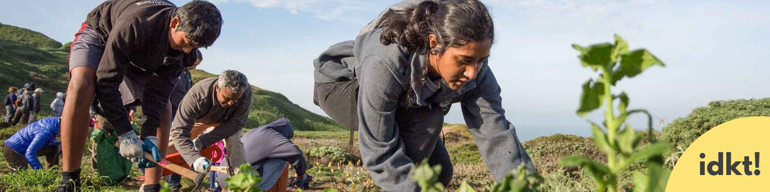 a group of people plant native plants