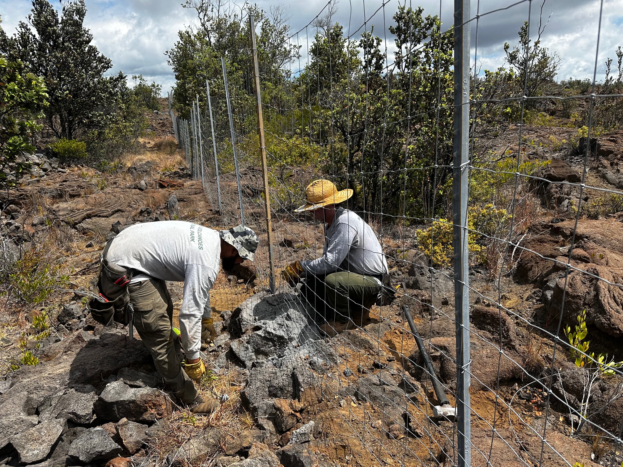 Two workers crouch down along the fencline actively working to install.