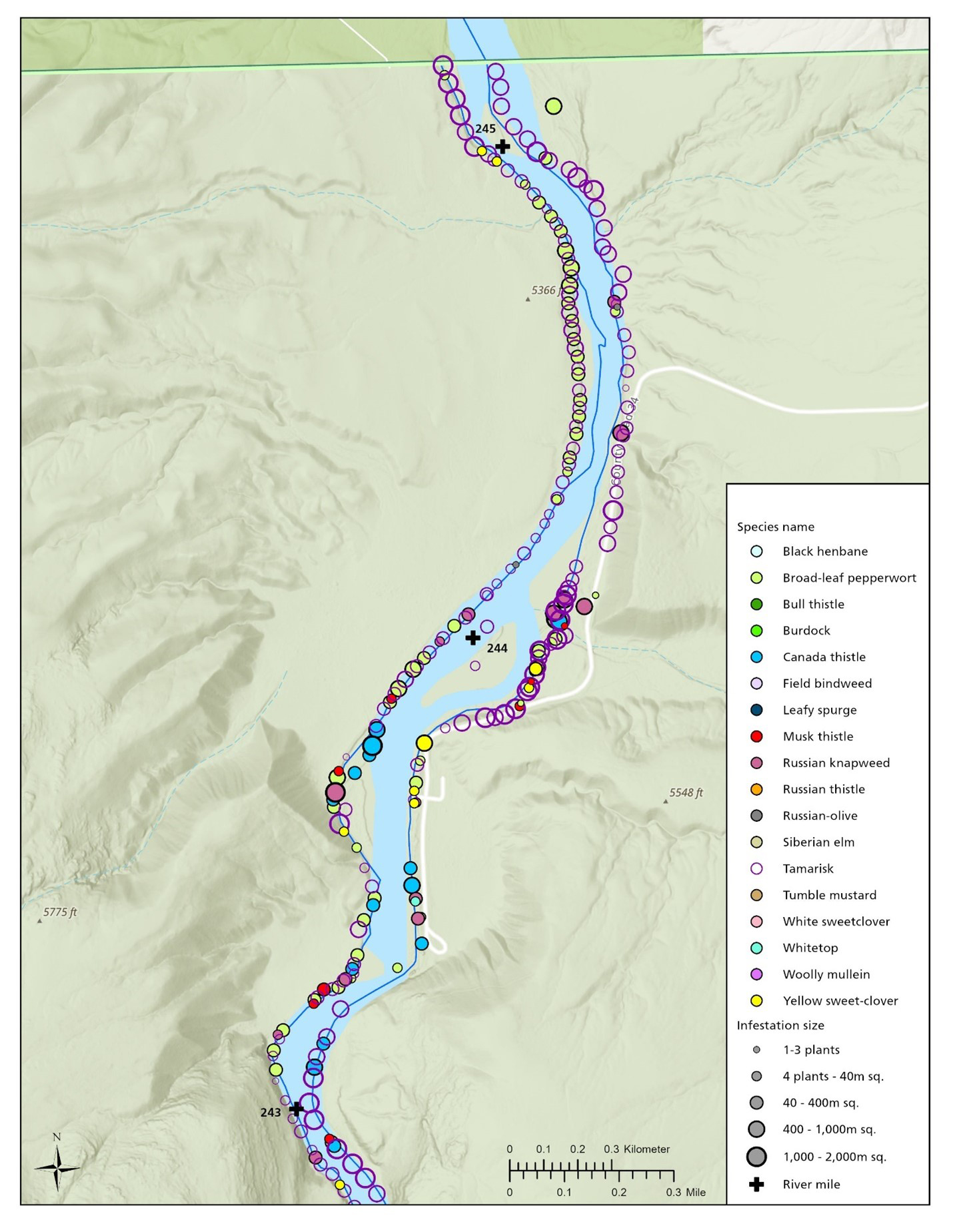 Colored circles mark invasive plant locations and infestation sizes along a river corridor.