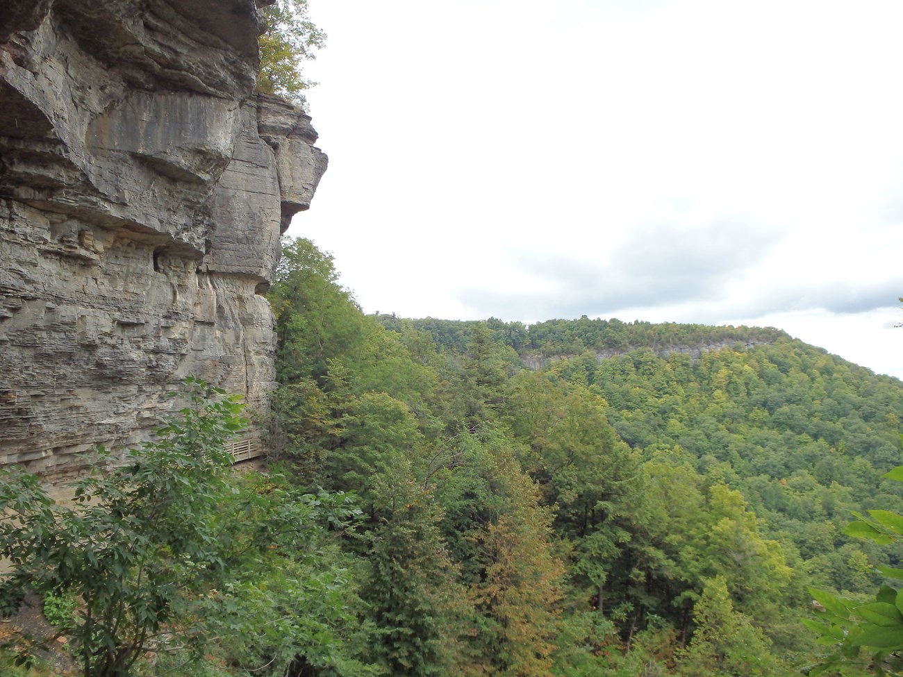 Photo of a rock cliff and forested hill.