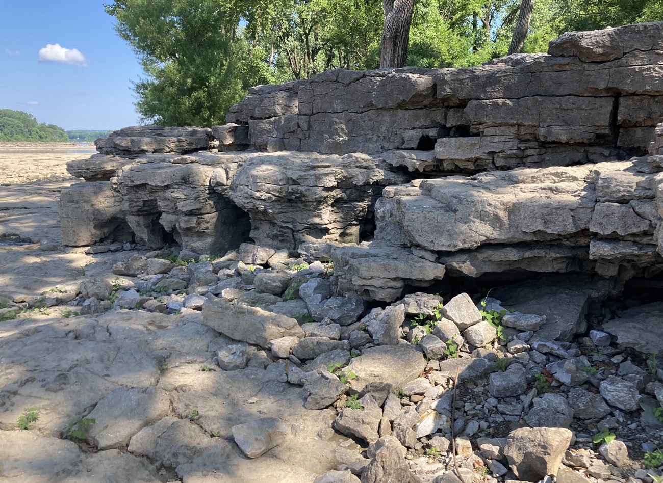 Native Ohio Rocks Paleontology of Ohio Coral Reef (Falls of the Ohio) National Natural ...