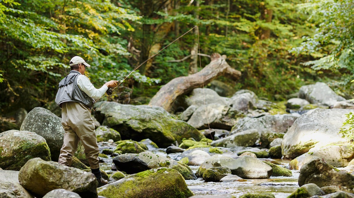 A man flyfishing on a stream with greenery in the background.