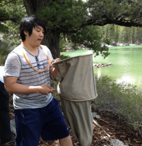 Frank sifting for beetles near a lake's edge.