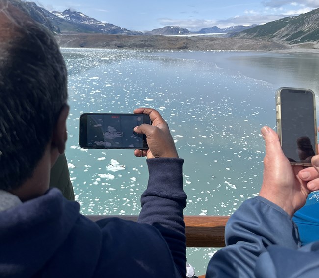 People on a cruise ship take a photo with their cellphone of seals on icebergs.