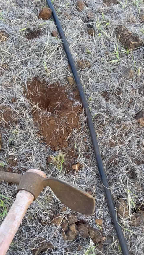 A visible hole in the dirt serves as a prep area to plan grass with a hand tool visible in the lower left corner.