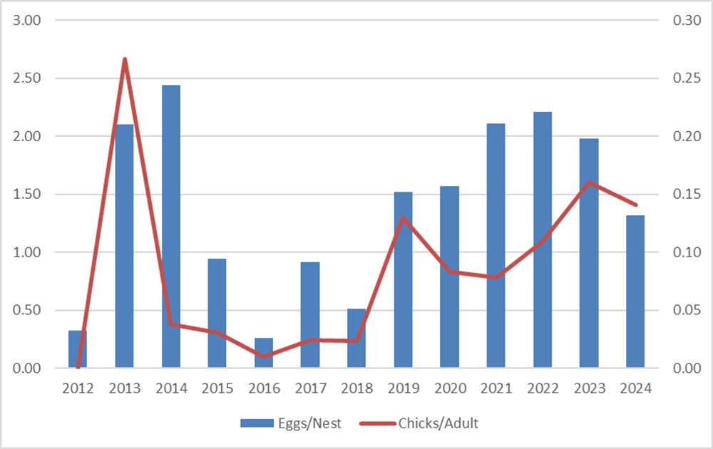 A graph showing gull nest eggs and chick recruitment over time.