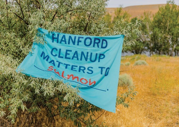 A blue cloth banner loosely hung on shrubs that reads Hanford cleanup matters to salmon.