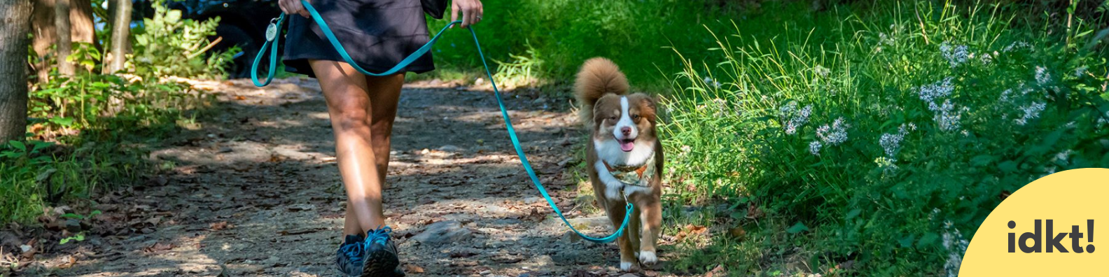 a dog walks on a leash on a trail next to its human