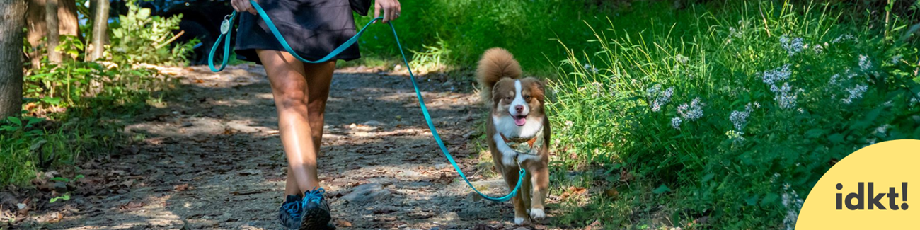 a dog walks on a leash on a trail next to its human