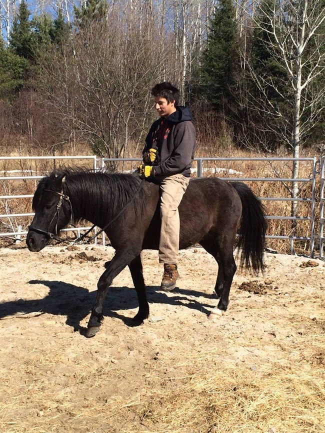 A bareback rider mounted on a dark brown horse in a fenced area.