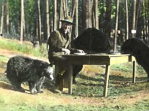 A man at a table eating pancakes with three bears