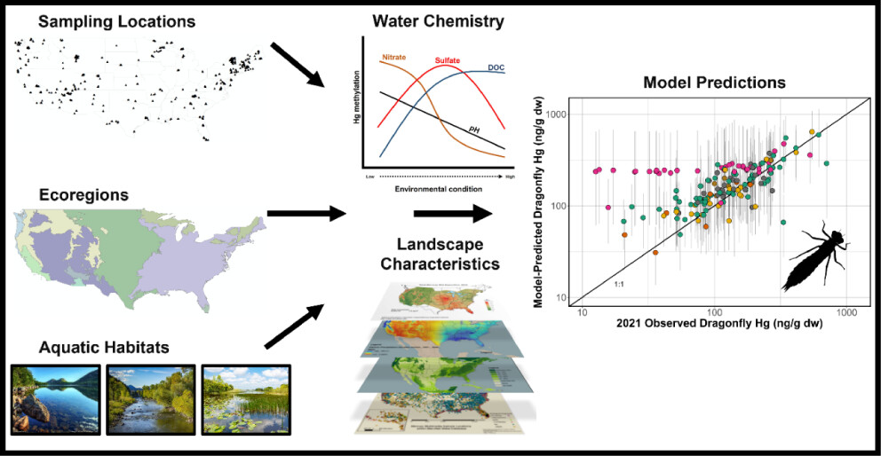 Two tiny maps labeled sampling locations and ecoregions, a set of wetland photos labeled 'aquatic habitats,' a mini 'water chemistry' graph, and a stack of 'landscape characteristics' maps, all with arrows pointing to a 'model predictions' graph.