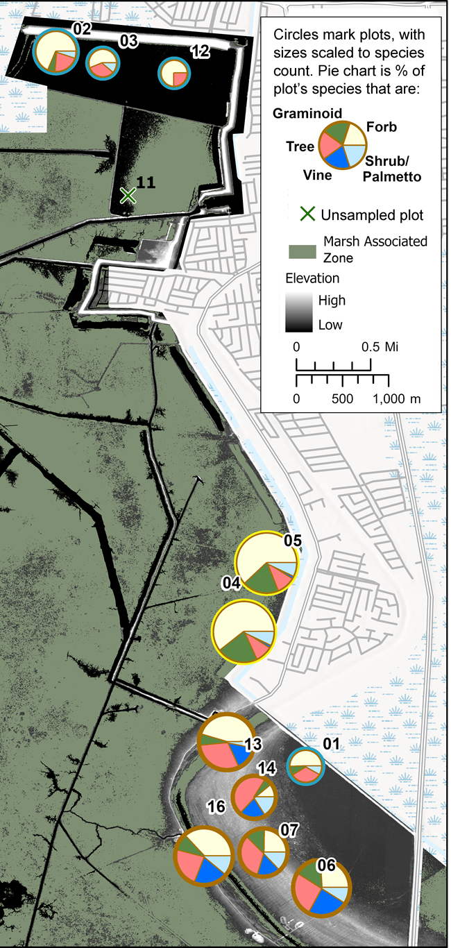 Map showing vegetation species richness by symbol size and growth form percentage.