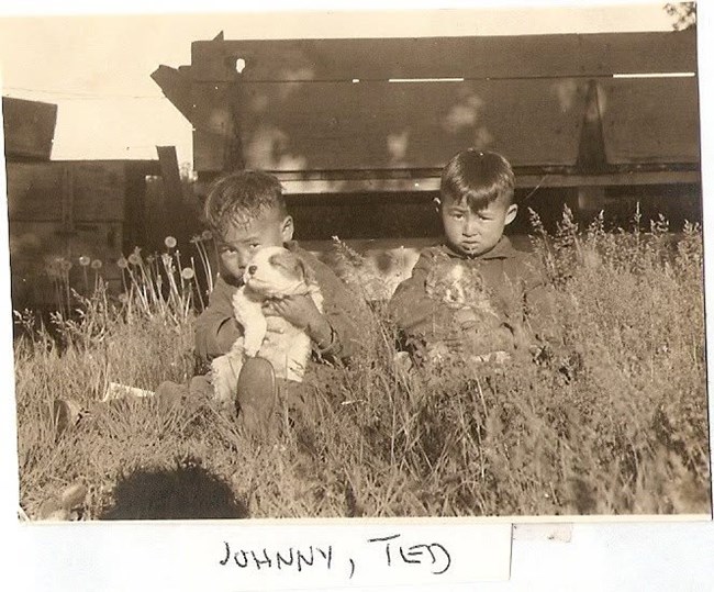 Two young boys clutching puppies in a field with tall grass. Some sort of farm equipment is behind them. Handwritten caption says "Johnny, Ted"