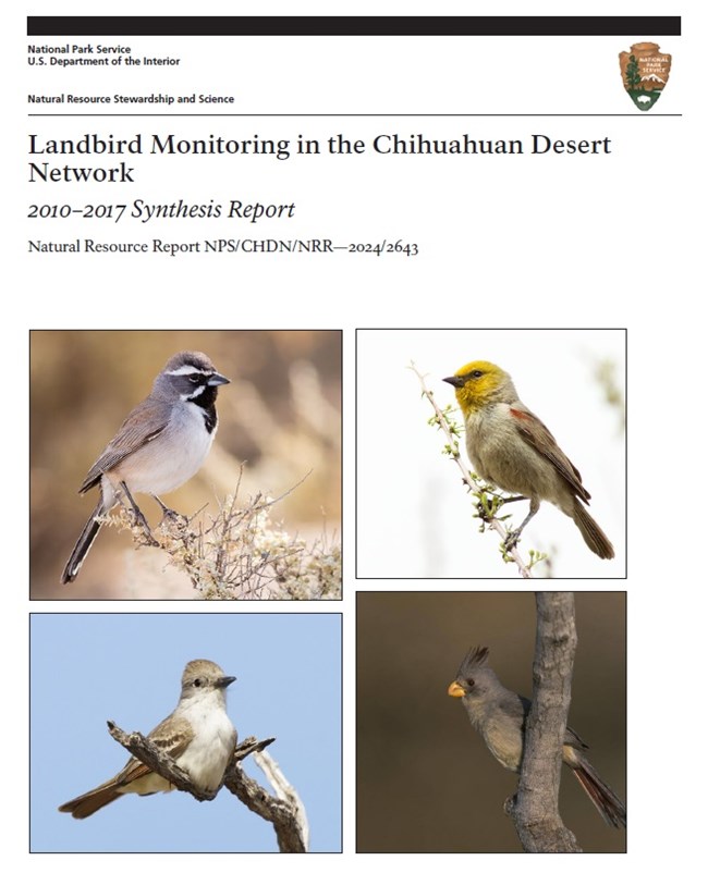 Cover of the landbird report titled Landbird Monitoring in the Chihuahuan Desert Network: 2010–2017 Synthesis Report with a publication number (Natural Resource Report NPS/CHDN/NRR—2024-2643. There are four bird pictures on the cover.