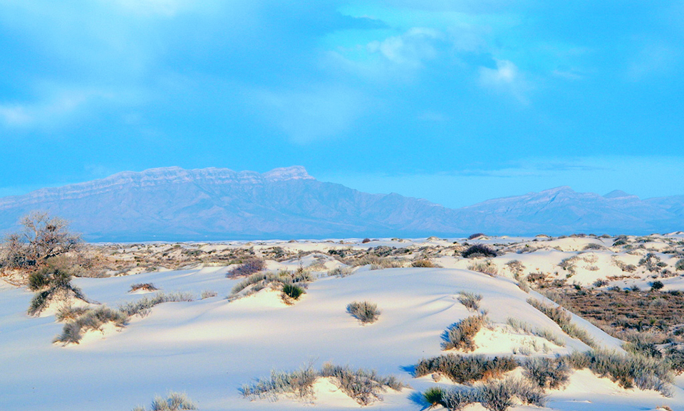 Brown, scrubby shrubs and a couple trees dot the landscape of white sands on undulating hills in front of mountains with a rocky escarpment.