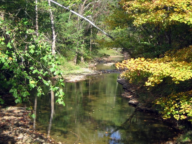 Little bluestone river and fall foliage