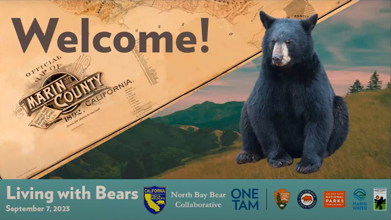 Webinar title slide reads "Welcome! Marin County, California. Living with Bears. September 7, 2023." Logos along the bottom: CDFW, North Bay Bear Collaborative, One Tam, NPS, CA State Parks, Parks Conservancy, Marin Water, and Marin County Parks.