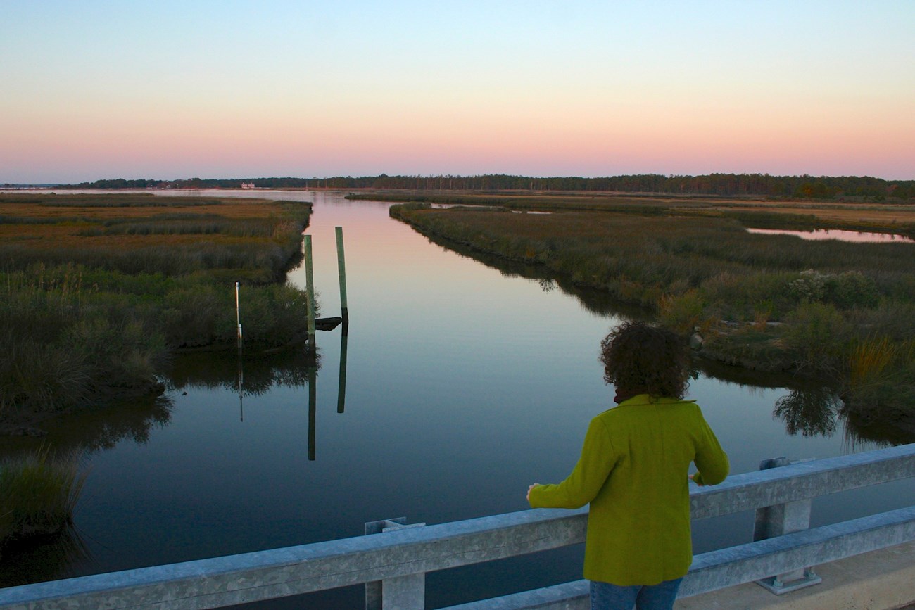 A visitor looks out over Stewart's Canal at dusk