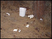 A bucket and pieces of toilet paper left along the shoreline.