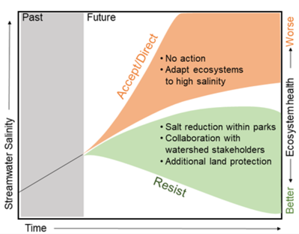 Figure has time on the x-axis and streamwater salinity on the y-axis. There are two paths depicted on the figure: in orange, the accept/direct path describes how salinity will worsen over time. The resist path, in green, will lower salinity over time.