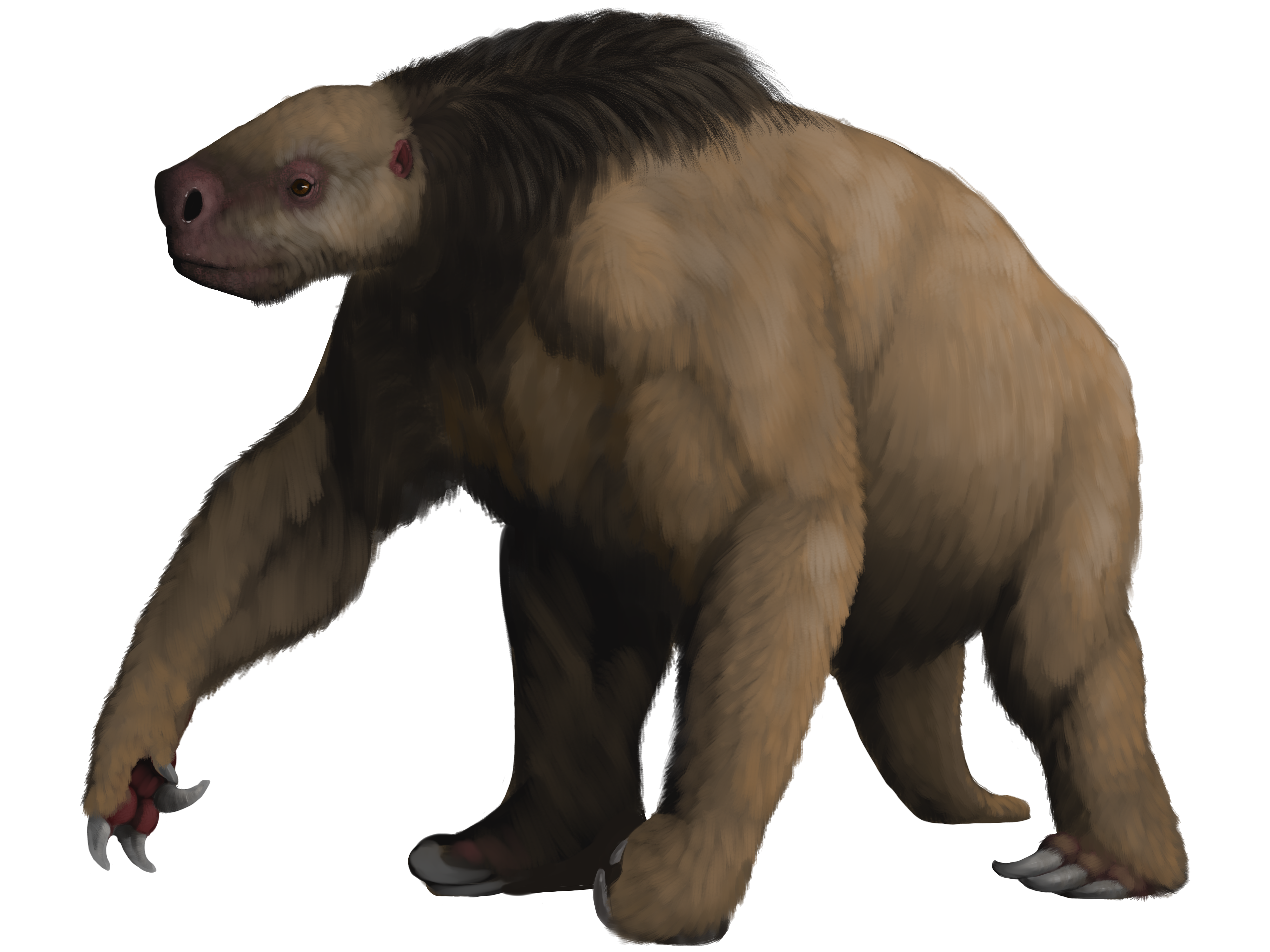 illustration of a giant ground sloth