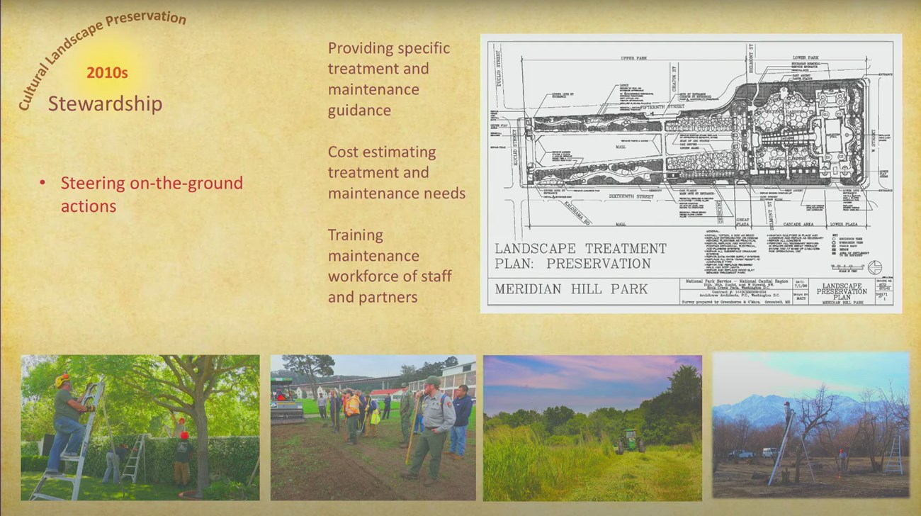 Photo collage of tree trimming, ground cover, mowing, and