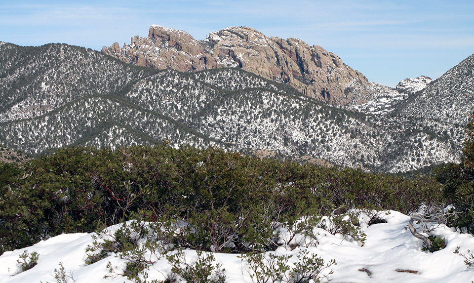 Thick layer of snow with shrubs peaking through in the foreground and snowy mountains and rock faces in background.