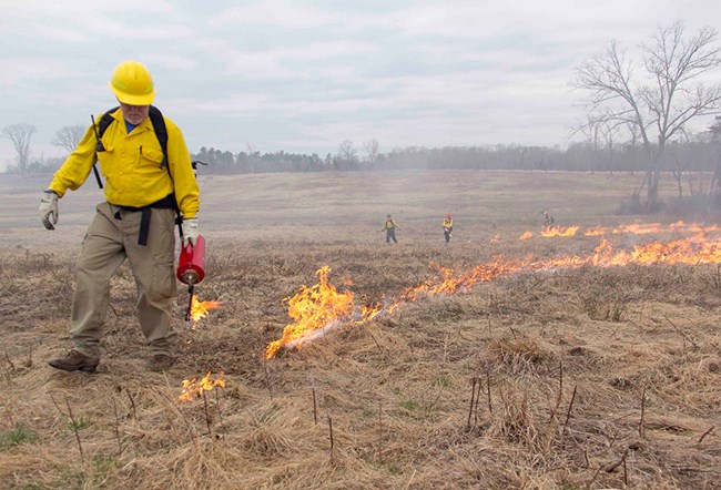 A firefighter drags a driptorch along dried vegetation lighting it on fire.