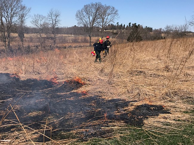 Two firefighters walk across a field with fire burning in grasses nearby.