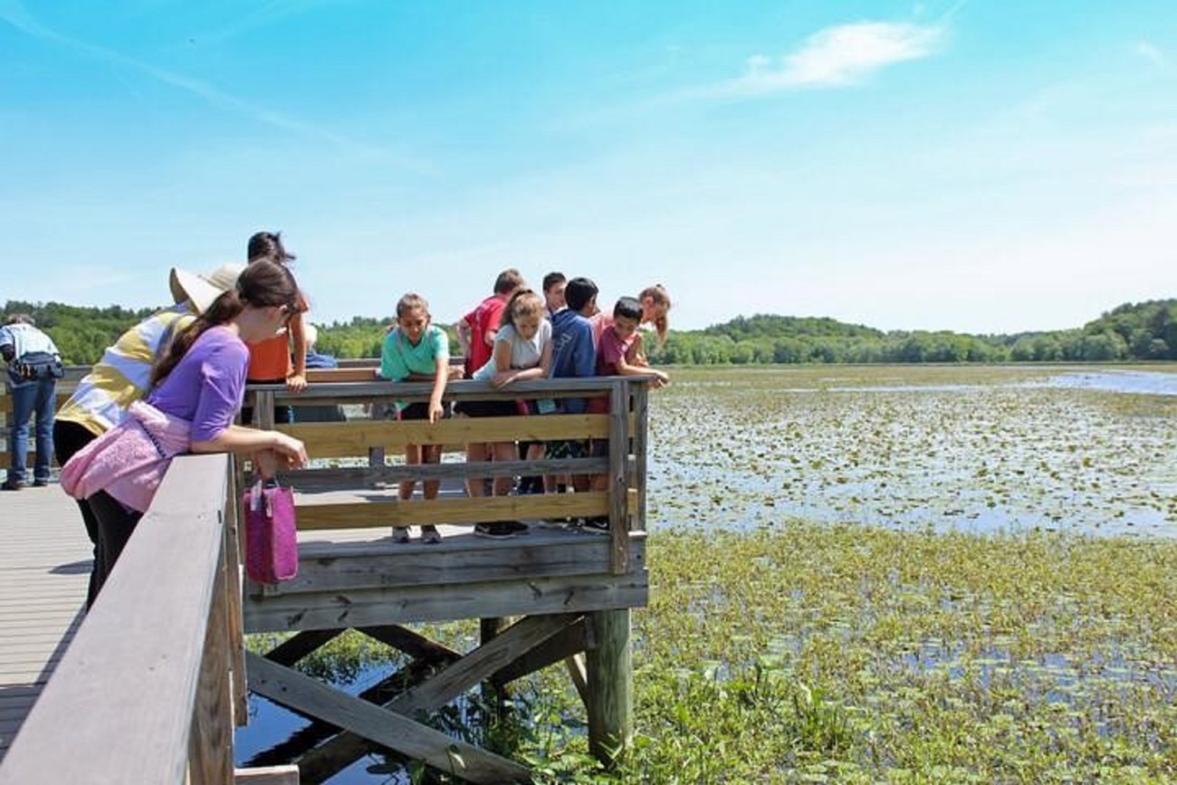 The Riverschools program is based both in the classroom and outdoors. Visiting the river is a highlight for the educators and students alike. Above shows the Great Meadows National Wildlife Refuge. Photo credit: Kelly Moffet.
