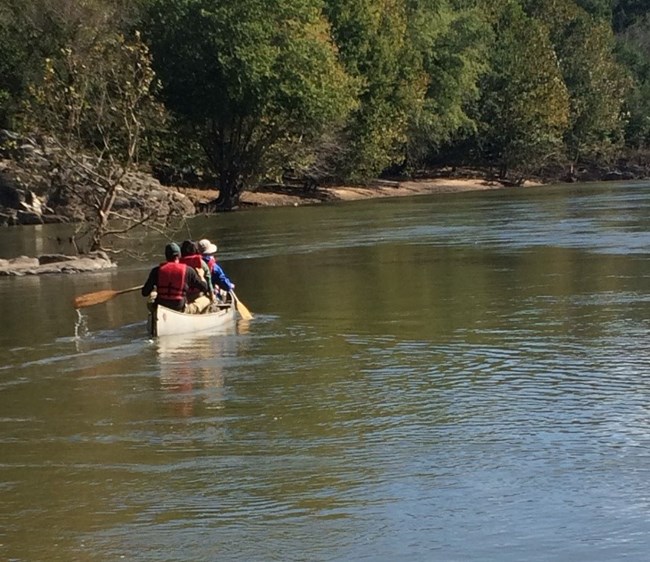 Three field crew members wearing lifejackets paddle a canoe down a murky river lined with trees