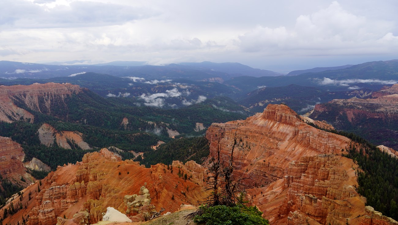 Layered red cliffs descend into forested canyons beneath drifting mist and clouded sky.