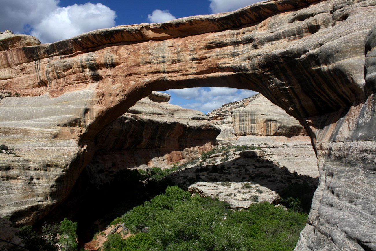 Stone arch spans a canyon with striped rock walls and green trees below at Natural Bridges.